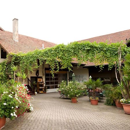 Weingut Und Gaestehaus Vongerichten Oberhausen  Kültér fotó