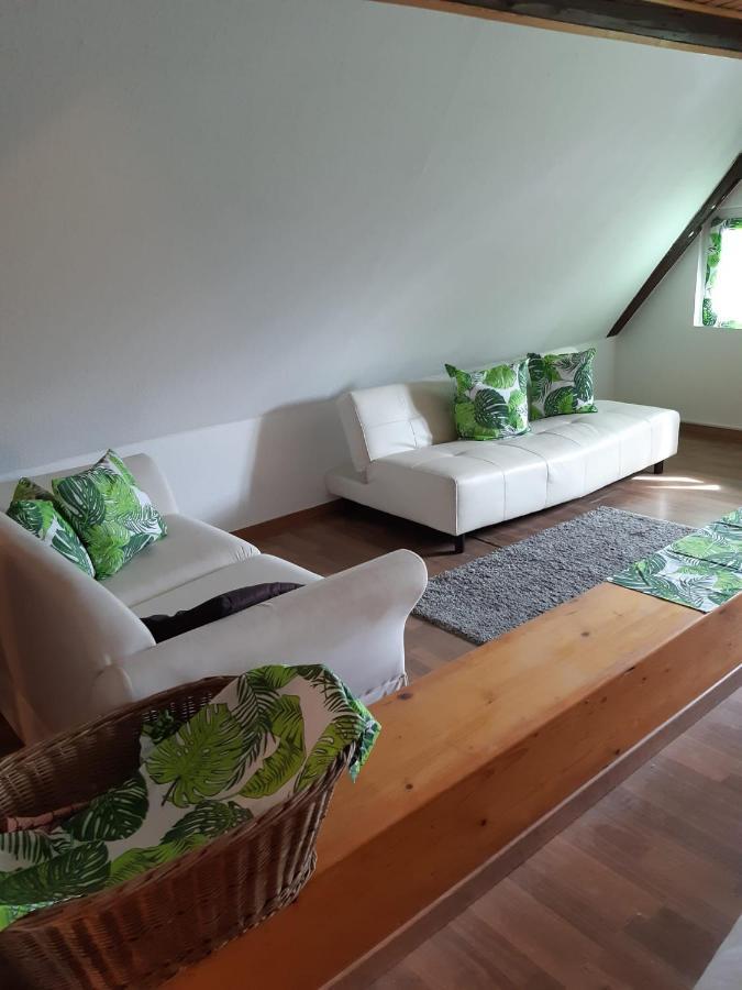 Weingut Und Gaestehaus Vongerichten Oberhausen  Kültér fotó