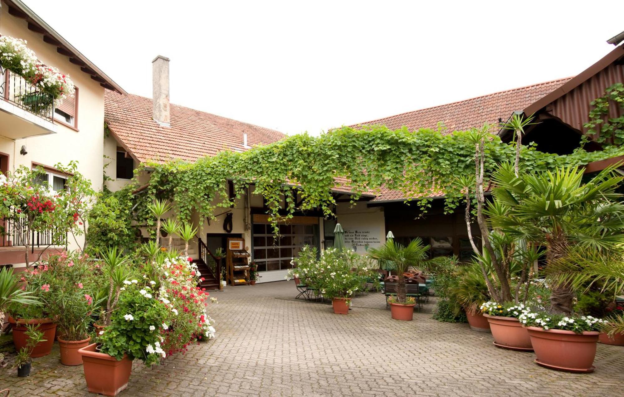 Weingut Und Gaestehaus Vongerichten Oberhausen  Kültér fotó